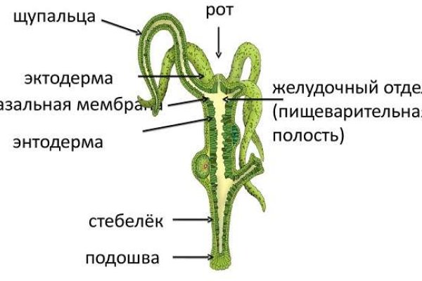 Что такое кракен площадка