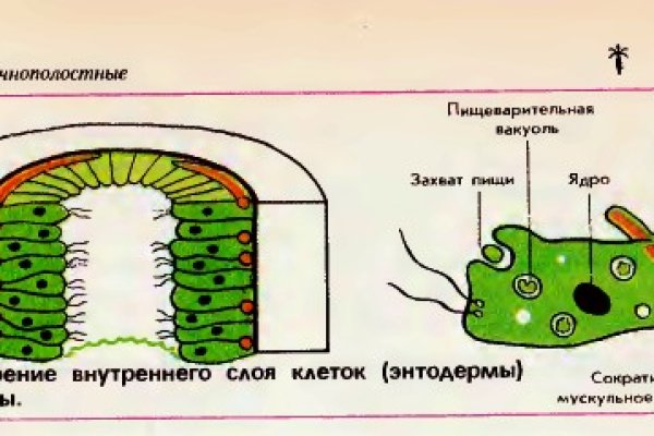 Реальная ссылка кракен