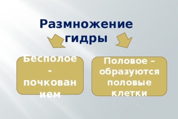 Как вернуть аккаунт на кракене