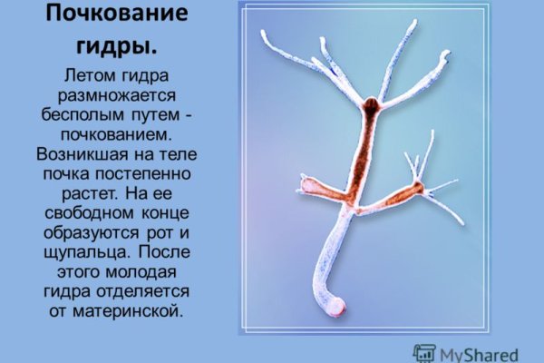 Регистрация кракен